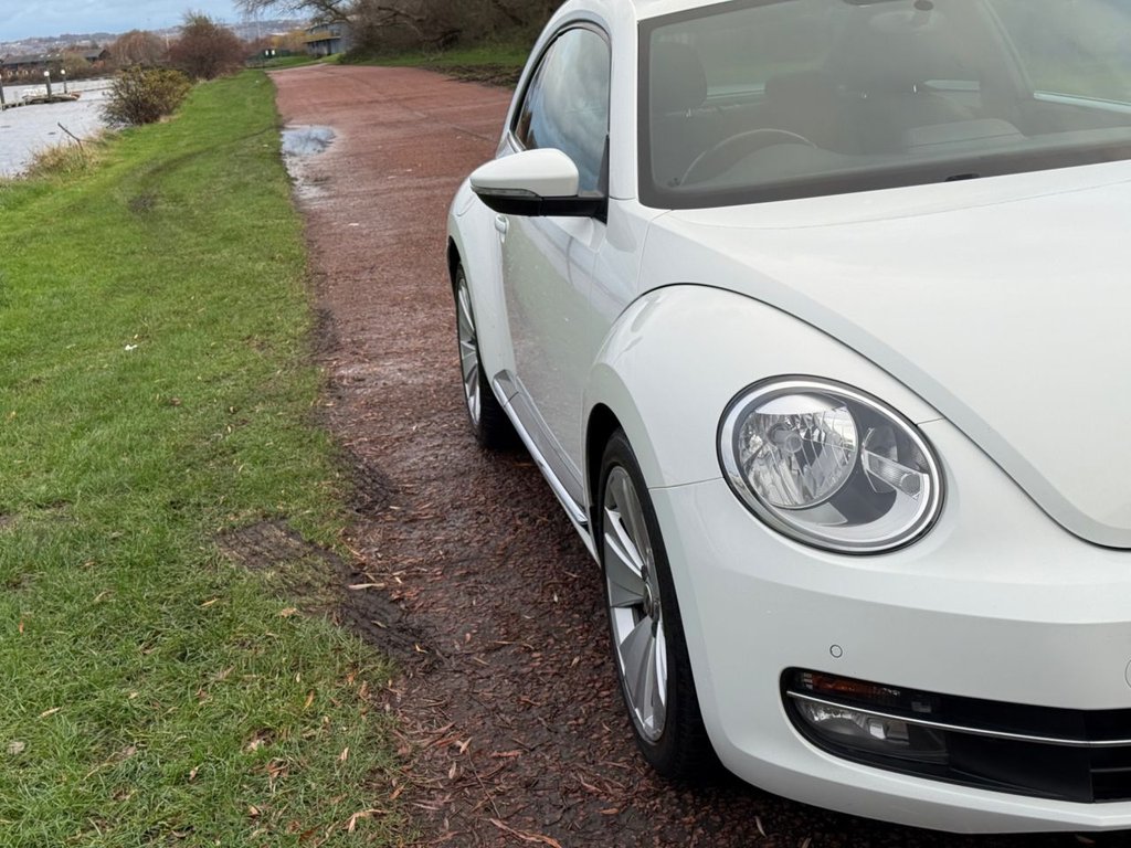Used Volkswagen Beetle 2014 for sale - 76670616: Photo 32
