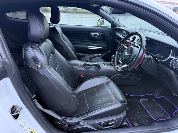 Used Ford Mustang 2019 for sale - 76228996: Photo 11