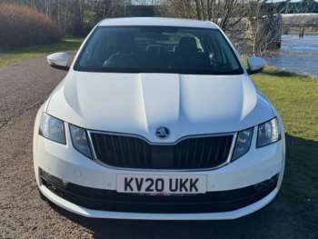 Used Skoda Octavia 2020 for sale - 74237581: Photo
