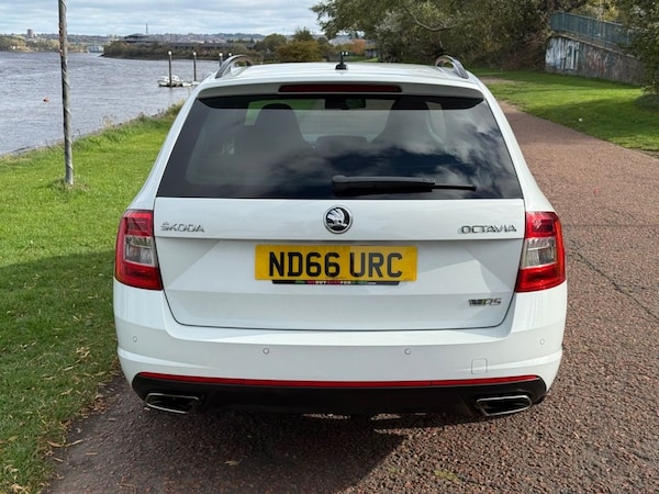 Used Skoda Octavia 2017 for sale - 76228907: Photo 5