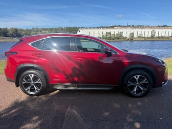 Used Lexus NX 2017 for sale - 79619341: Photo
