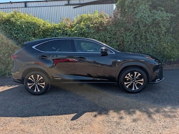 Used Lexus NX 2019 for sale - 79481807: Photo