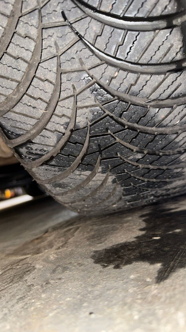 Used Nissan Leaf 2015 for sale - 76673279: Photo 42