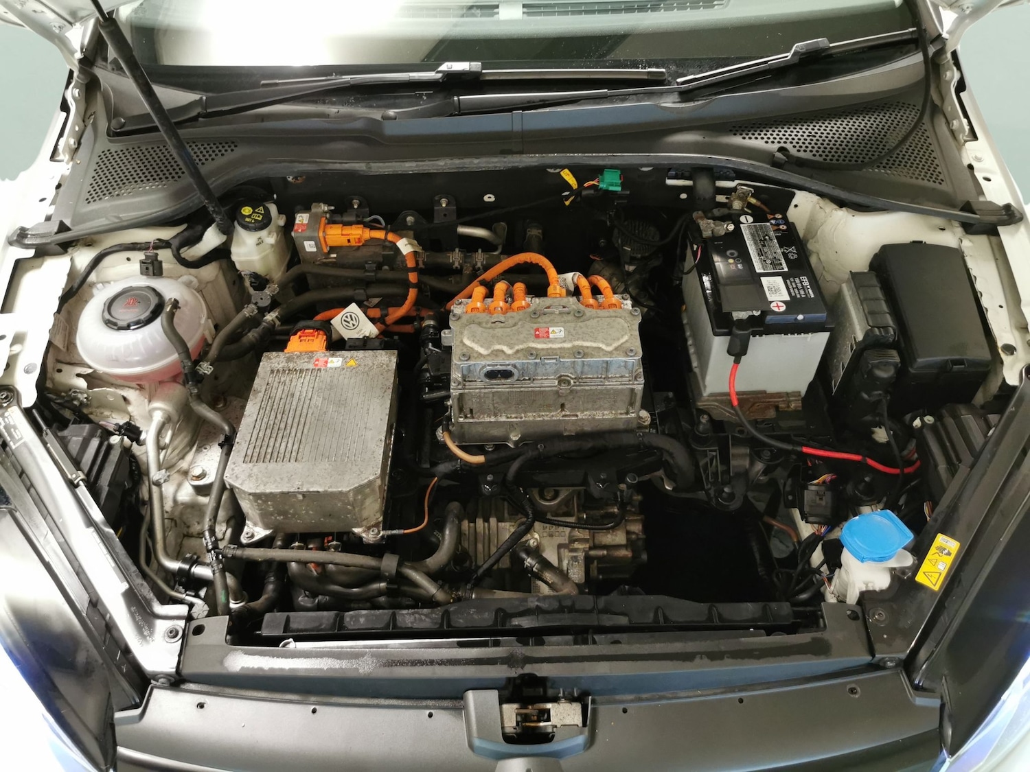 Used Volkswagen Golf 2019 for sale - 77701743: Photo 29