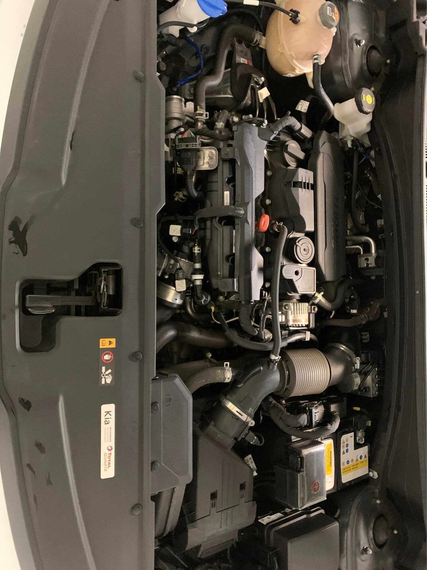 Used Kia Sportage 2022 for sale - 77555687: Photo 31