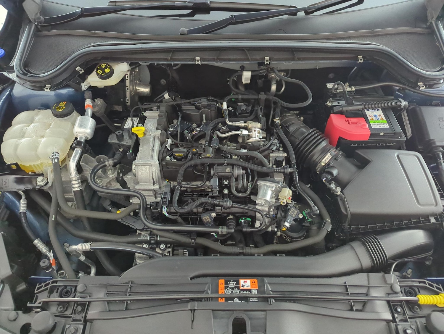 Used Ford Focus 2024 for sale - 77819421: Photo 35