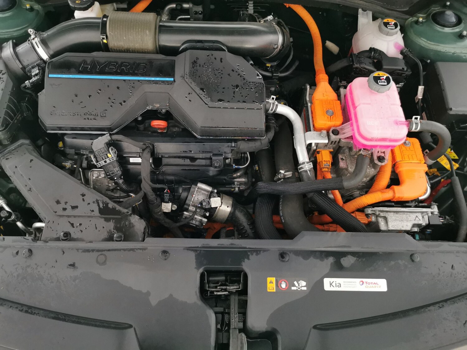 Used Kia Sportage 2024 for sale - 77446842: Photo 36