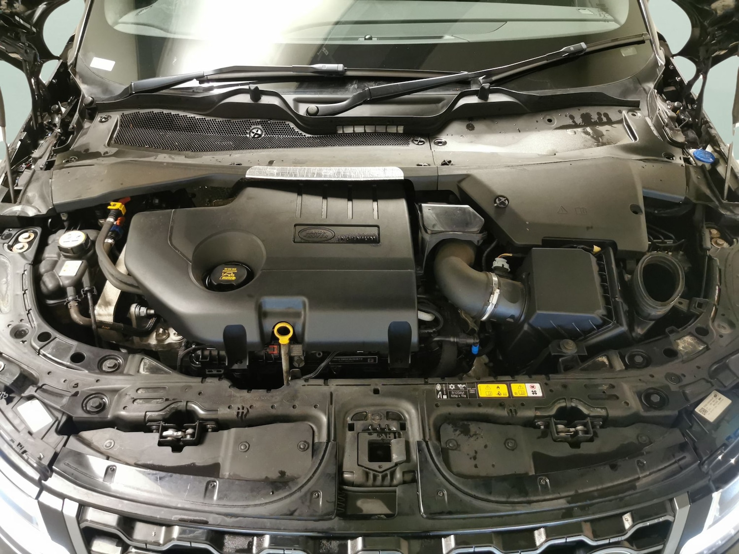 Used Land Rover Range Rover Evoque 2020 for sale - 77776066: Photo 30