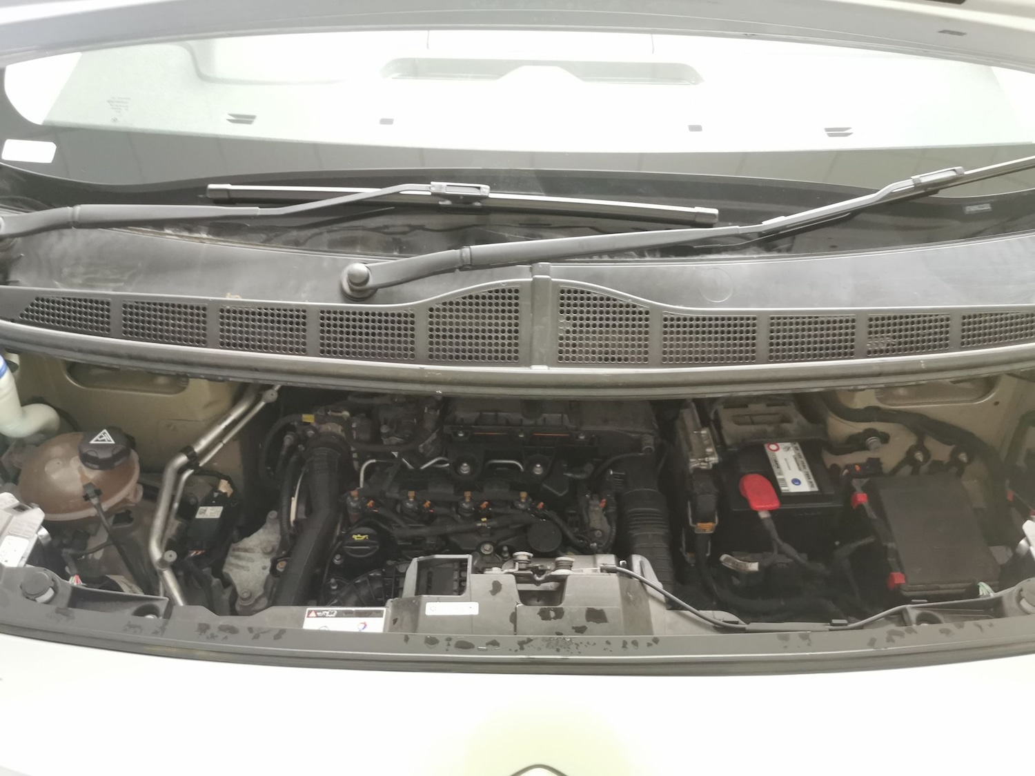 Vehicle 38