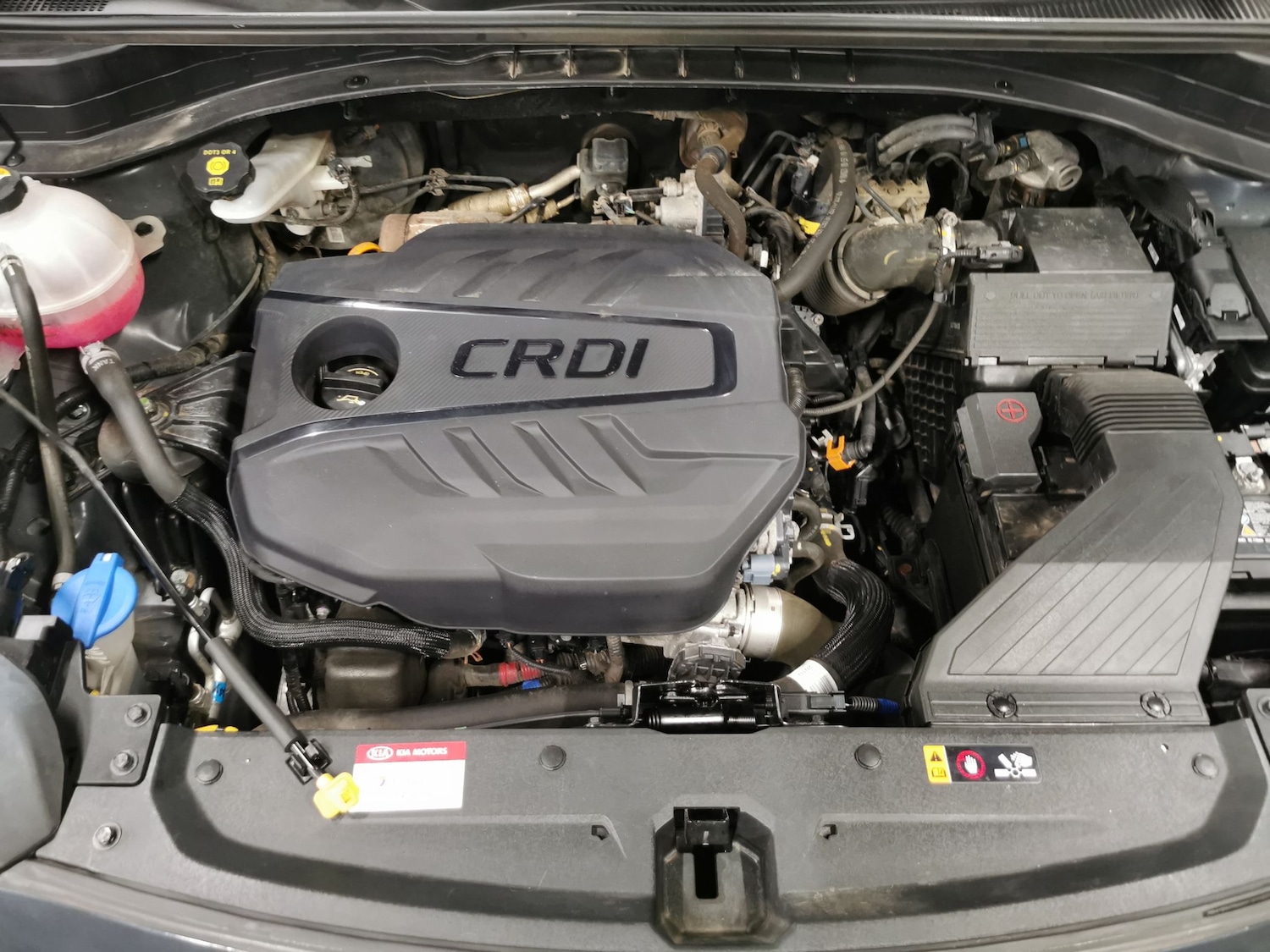 Used Kia Sportage 2022 for sale - 78199659: Photo 42