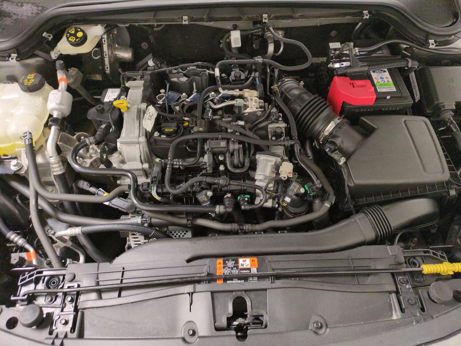 Used Ford Focus for sale - 77688735: Photo 26