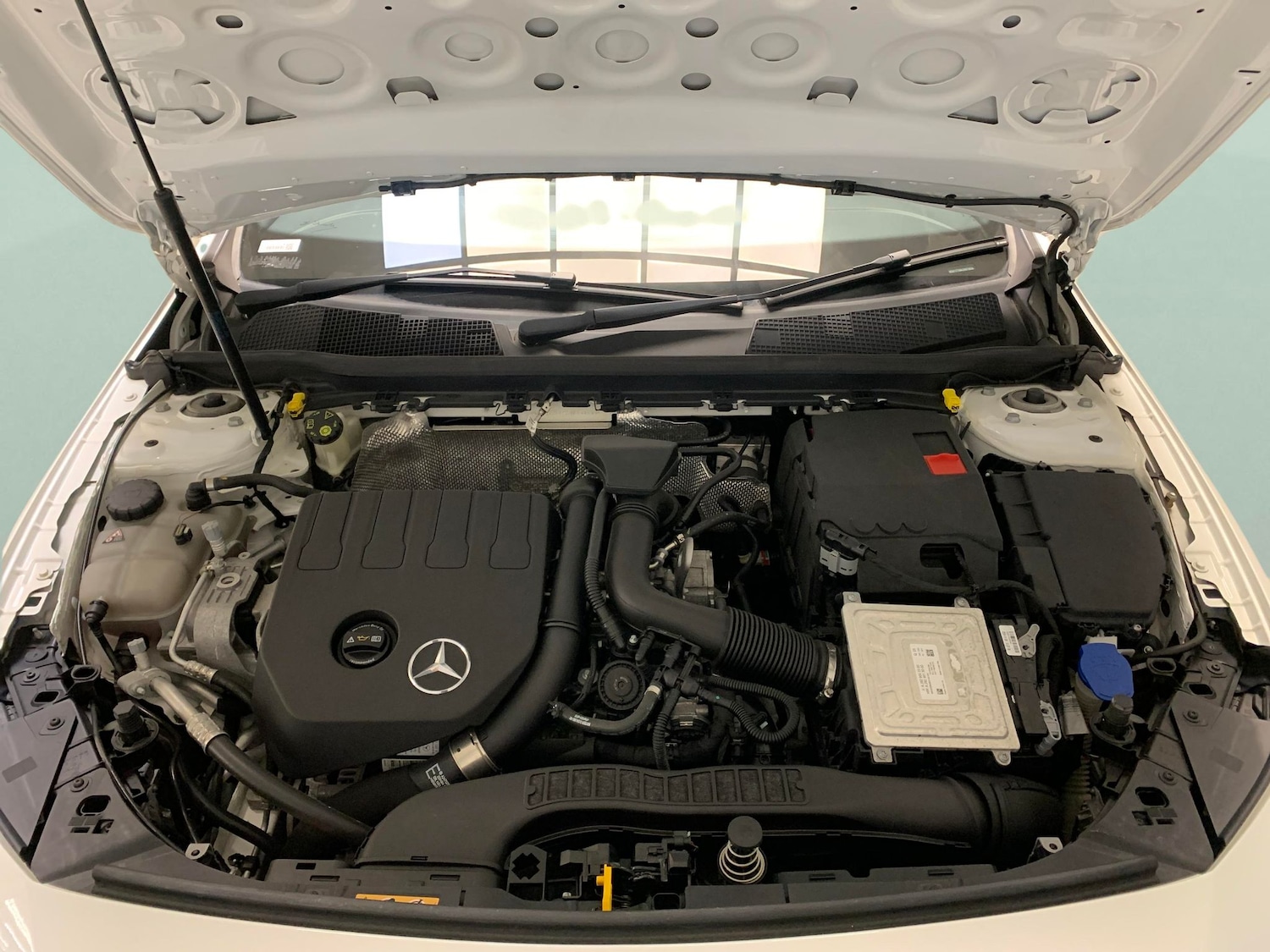 Vehicle 44