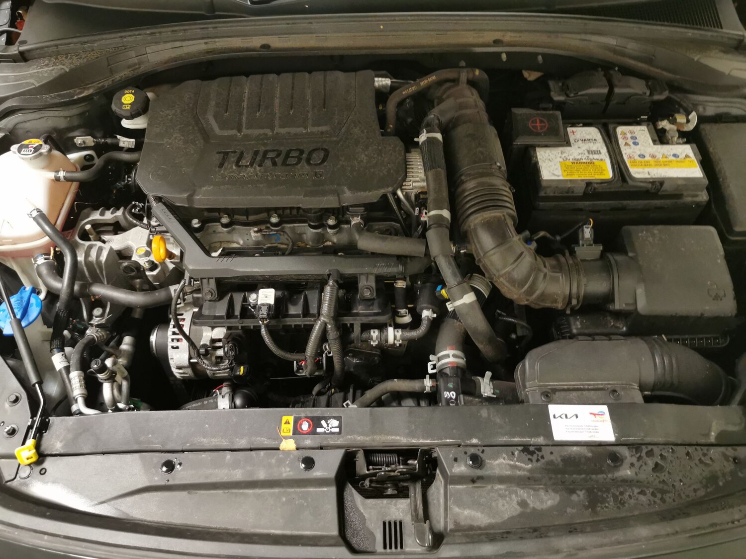 Used Kia Ceed 2024 for sale - 77526519: Photo 33