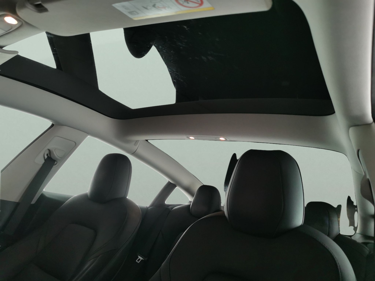 Used Tesla Model 3 2021 for sale - 78163624: Photo 5