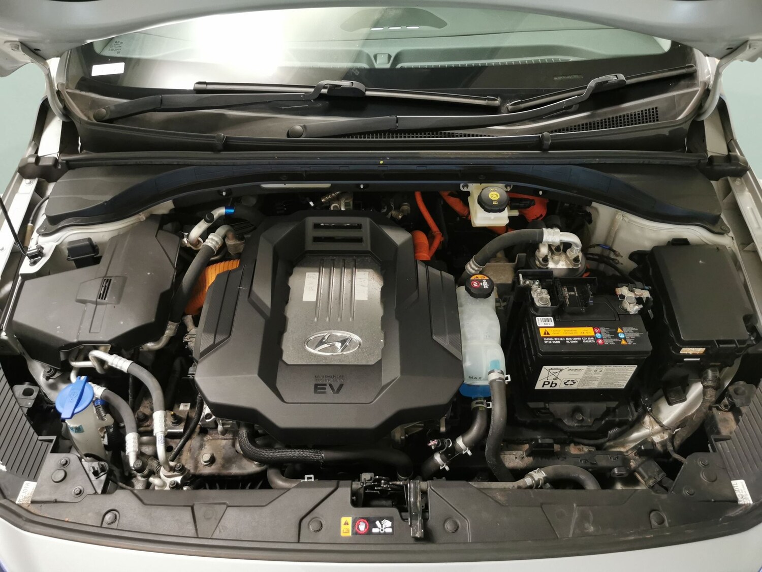 Used Hyundai IONIQ for sale - 77272097: Photo 33