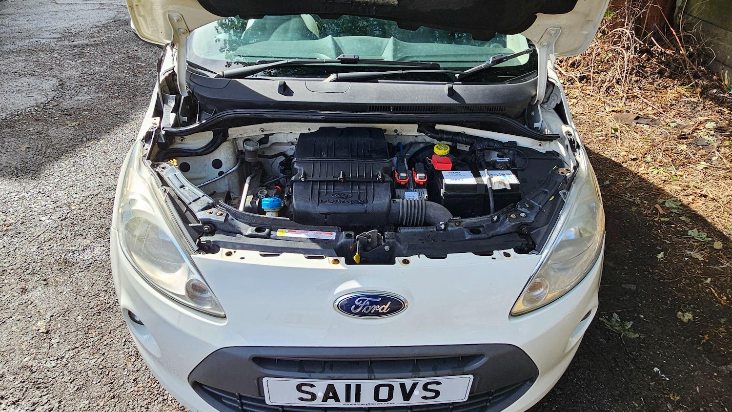 Vehicle 10