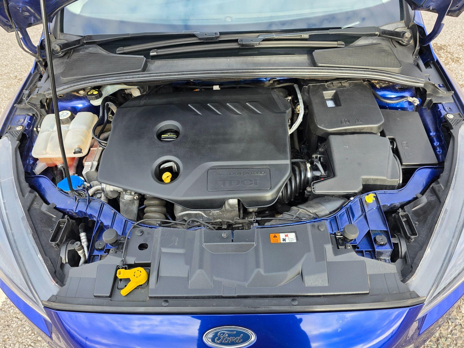 Used Ford Focus 2015 for sale - 78036931: Photo 43