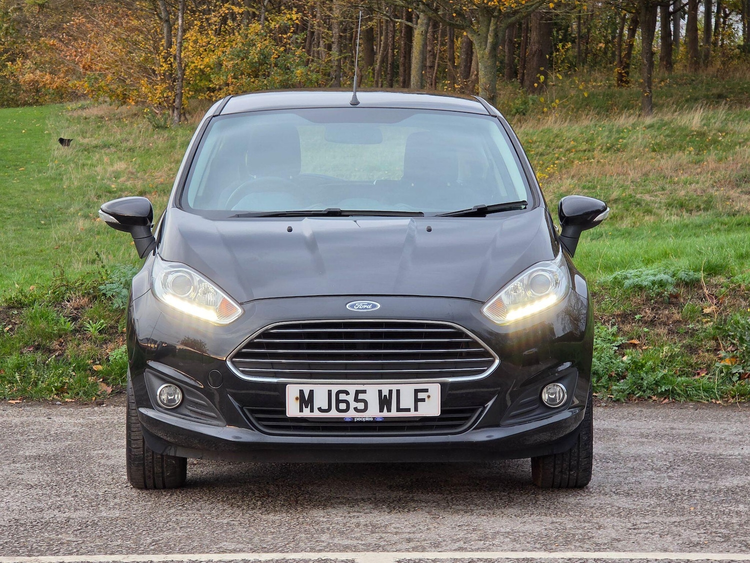 Used Ford Fiesta 2015 for sale - 76487341: Photo 2