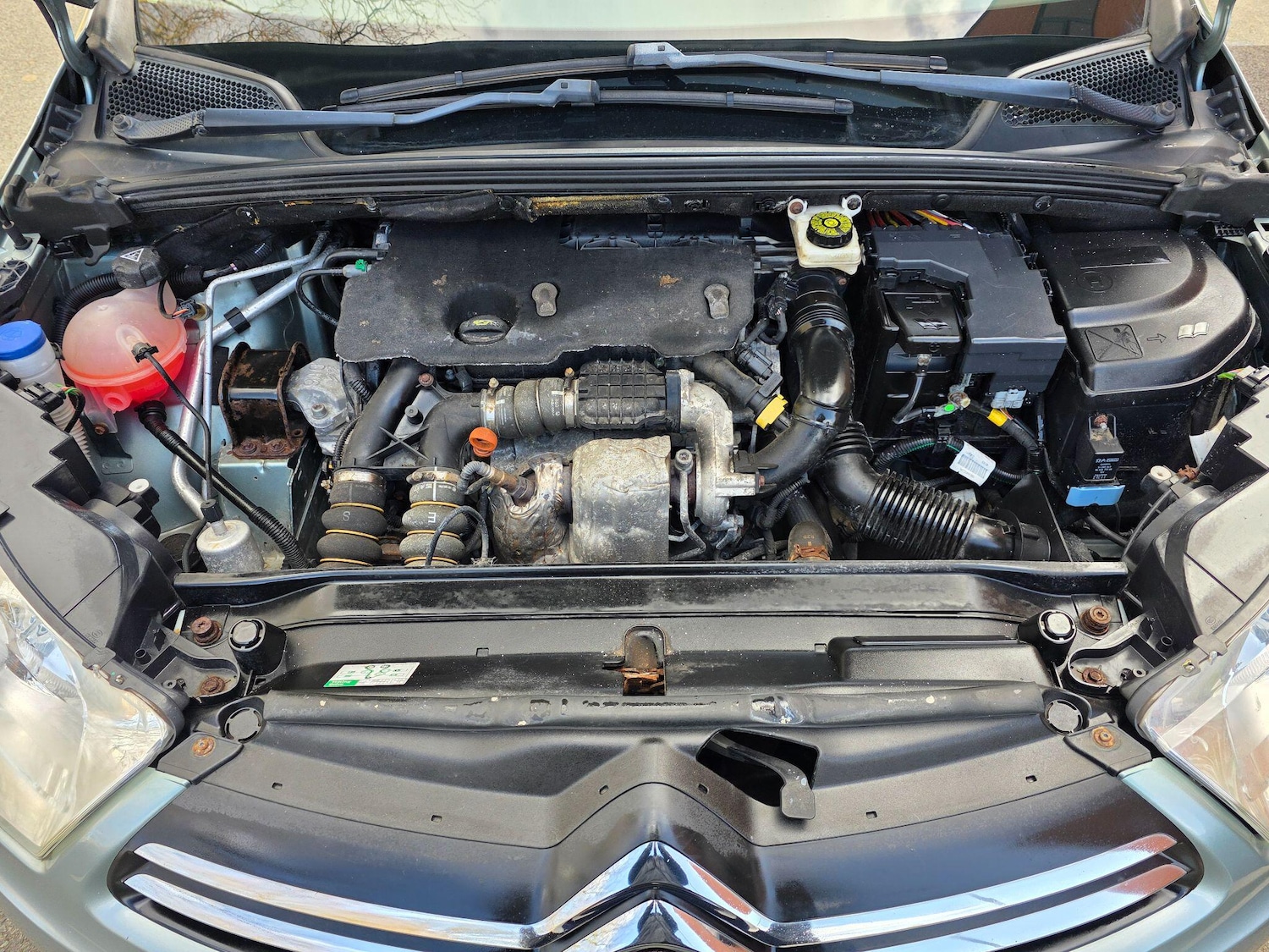 Used Citroen C4 2011 for sale - 78049926: Photo 41