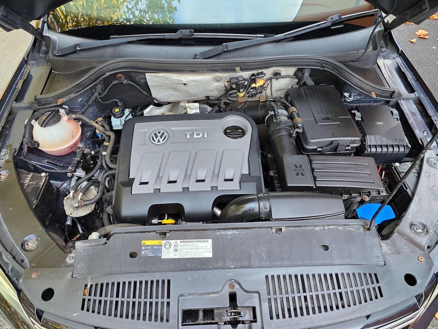 Used Volkswagen Tiguan 2015 for sale - 76350684: Photo 45