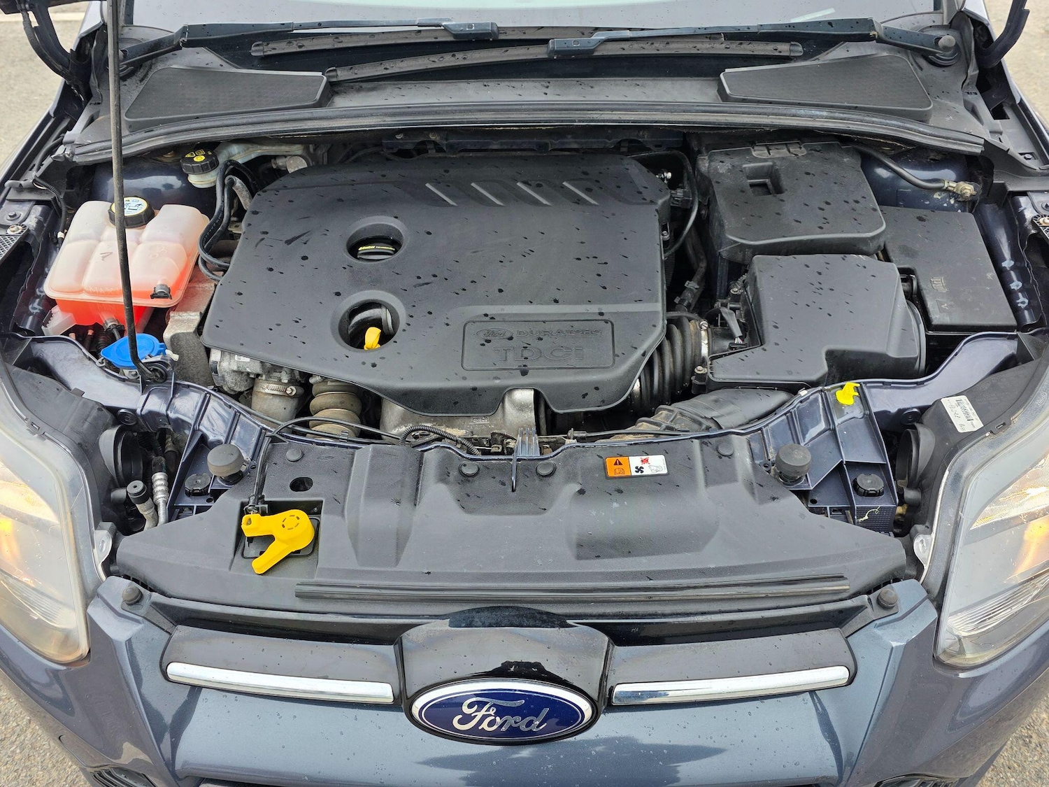 Used Ford Focus 2014 for sale - 78009475: Photo 39