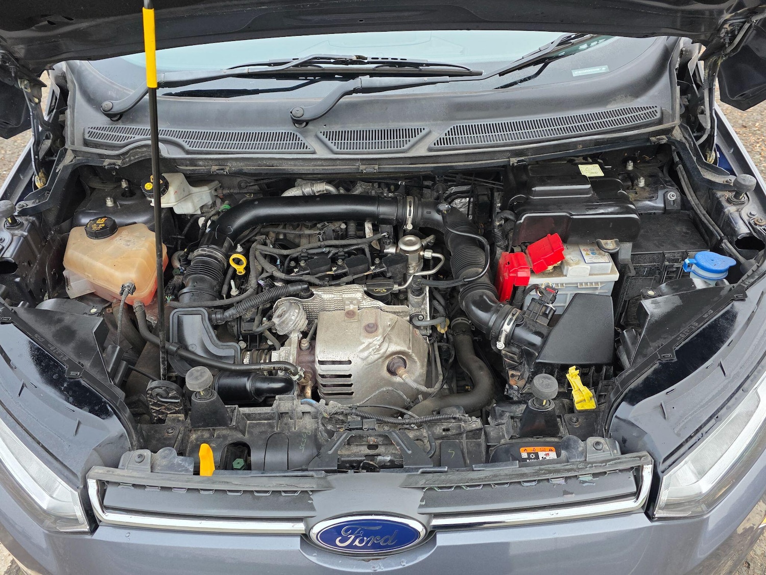 Used Ford Ecosport 2017 for sale - 77145918: Photo 41