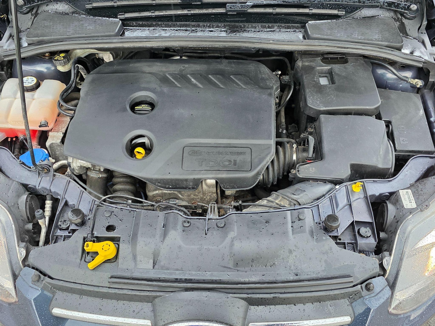 Used Ford Focus 2013 for sale - 76327983: Photo 37