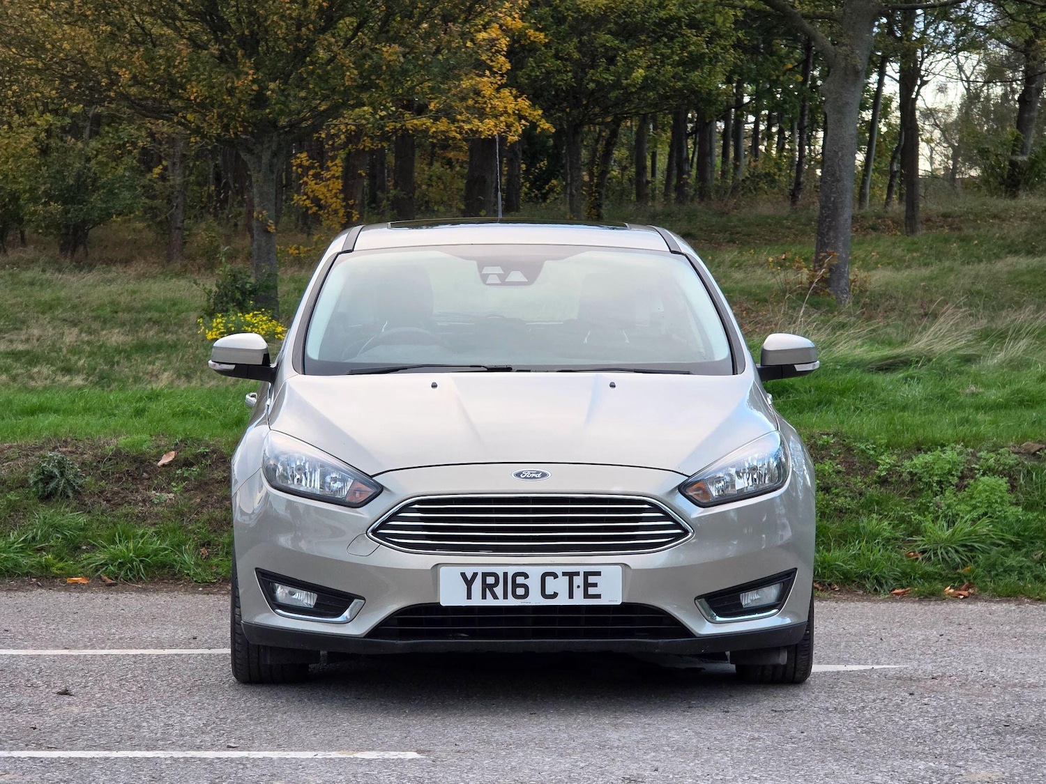 Used Ford Focus 2016 for sale - 76389993: Photo 2
