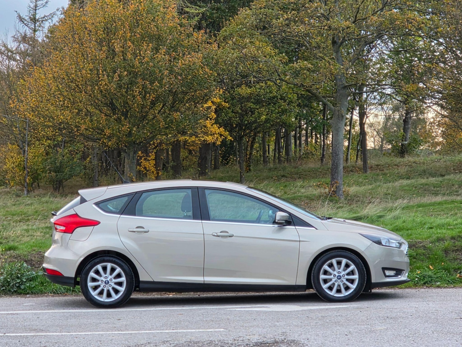 Used Ford Focus 2016 for sale - 76389993: Photo 8