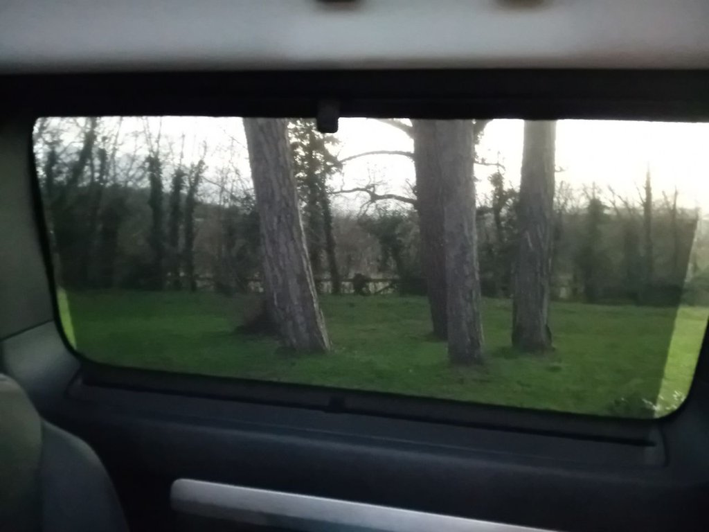 Used Citroen Space Tourer 2022 for sale - 77764713: Photo 23