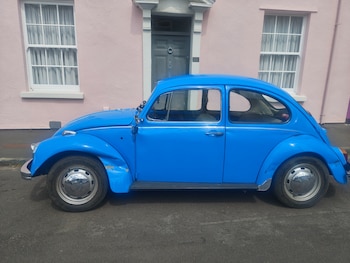 Used Volkswagen Beetle 1970 for sale - 78566071: Photo