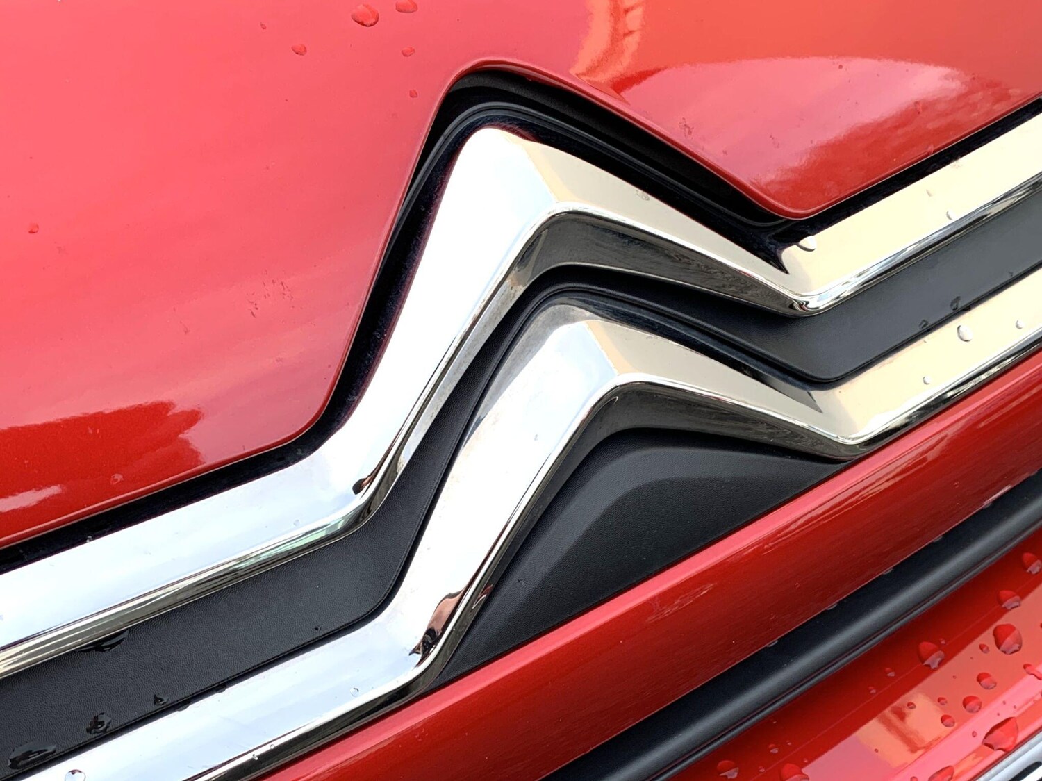 Used Citroen C4 2024 for sale - 76913636: Photo 28