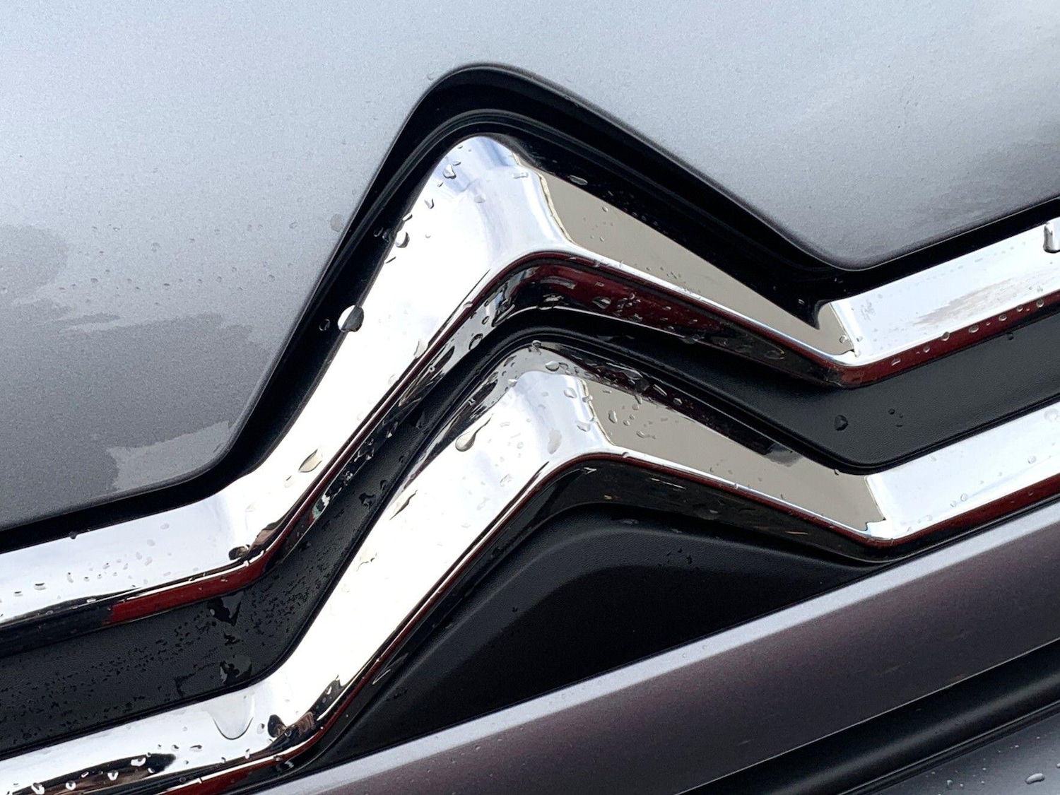 Used Citroen C4 2024 for sale - 77155314: Photo 22