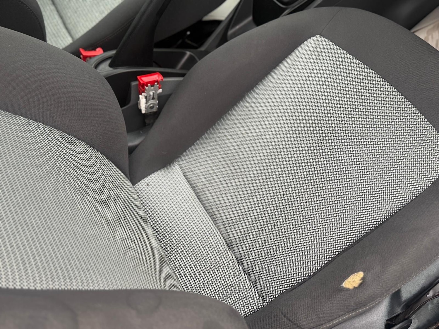 Used SEAT Ibiza 2009 for sale - 77113853: Photo 11