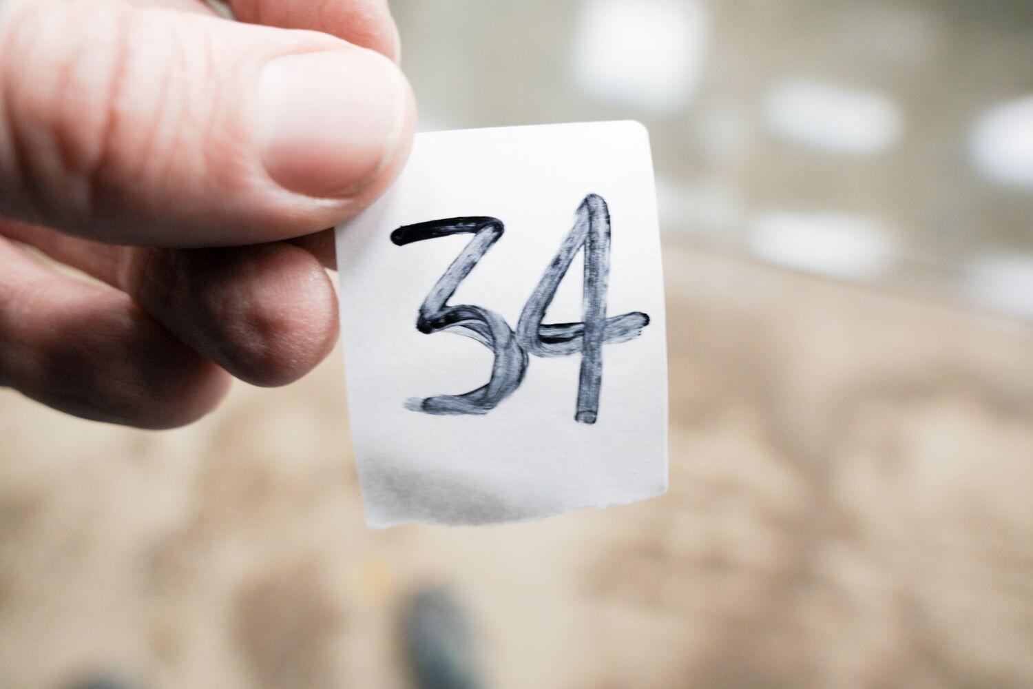 Used Jaguar F-Pace 2016 for sale - 77479270: Photo 30