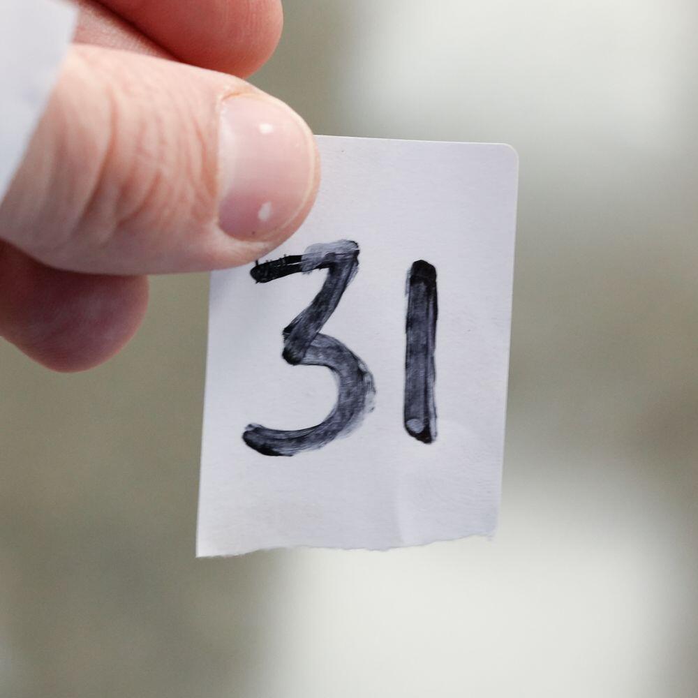 Used Peugeot 308 for sale - 78135609: Photo 25