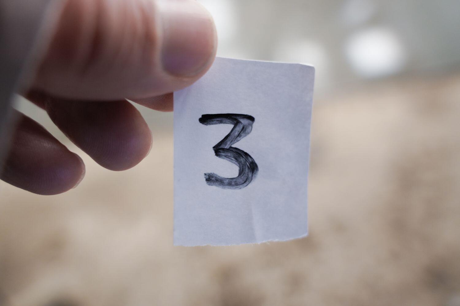 Used Skoda Octavia 2011 for sale - 77468732: Photo 28