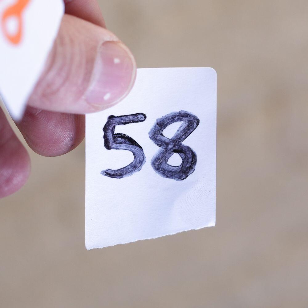 Used BMW 3 Series for sale - 78136062: Photo 25