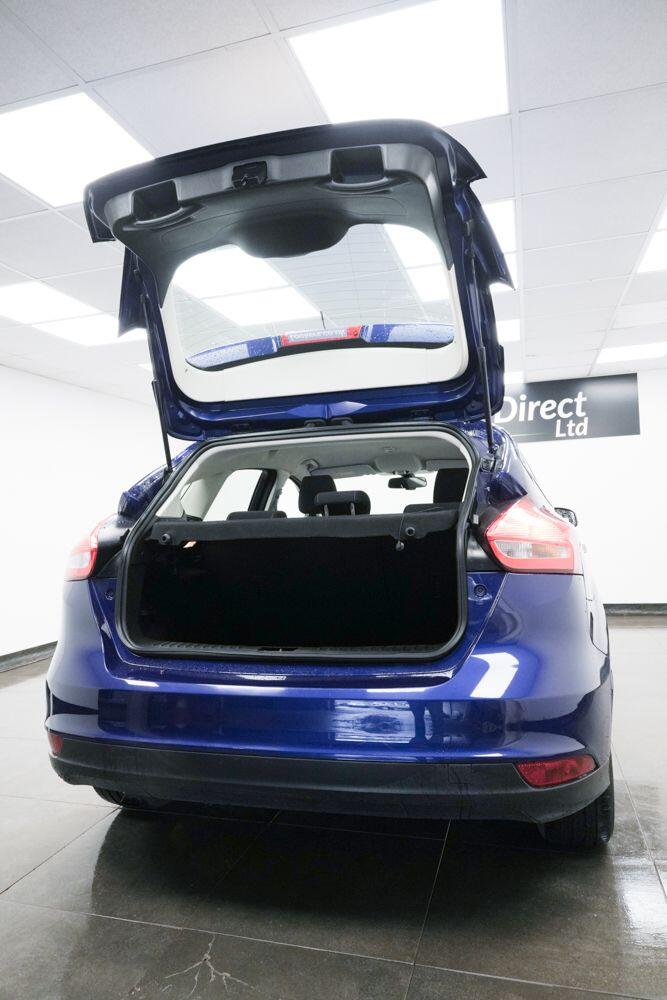 Used Ford Focus for sale - 77738392: Photo 8