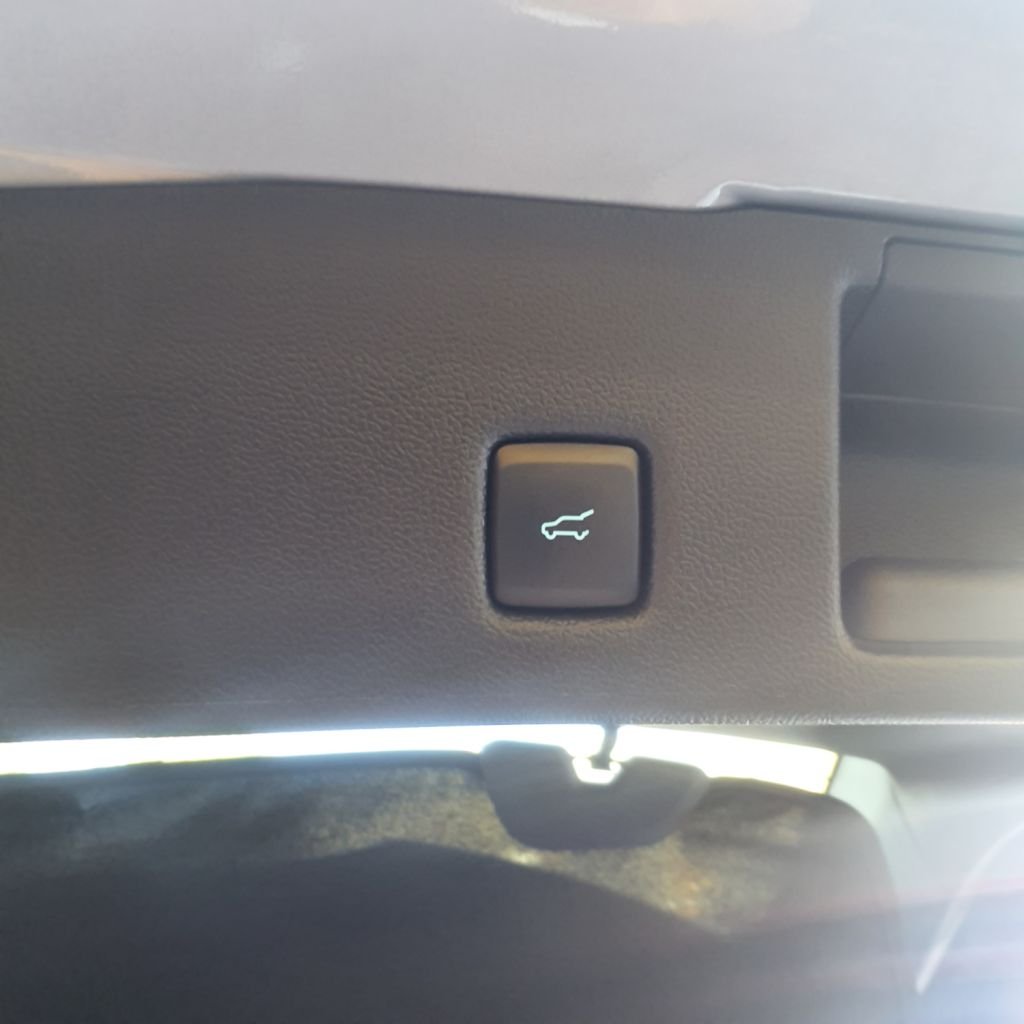 Used Ford Kuga 2024 for sale - 77383579: Photo 9