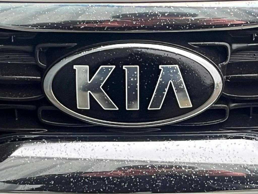 Used Kia Picanto 2017 for sale - 77507225: Photo 11