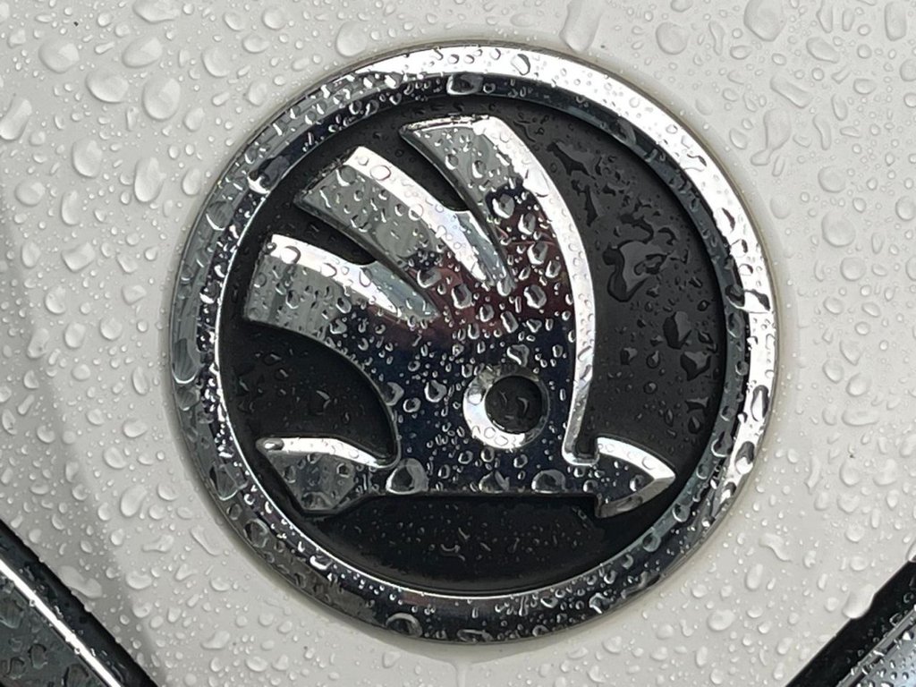 Used Skoda Octavia 2014 for sale - 77506969: Photo 13