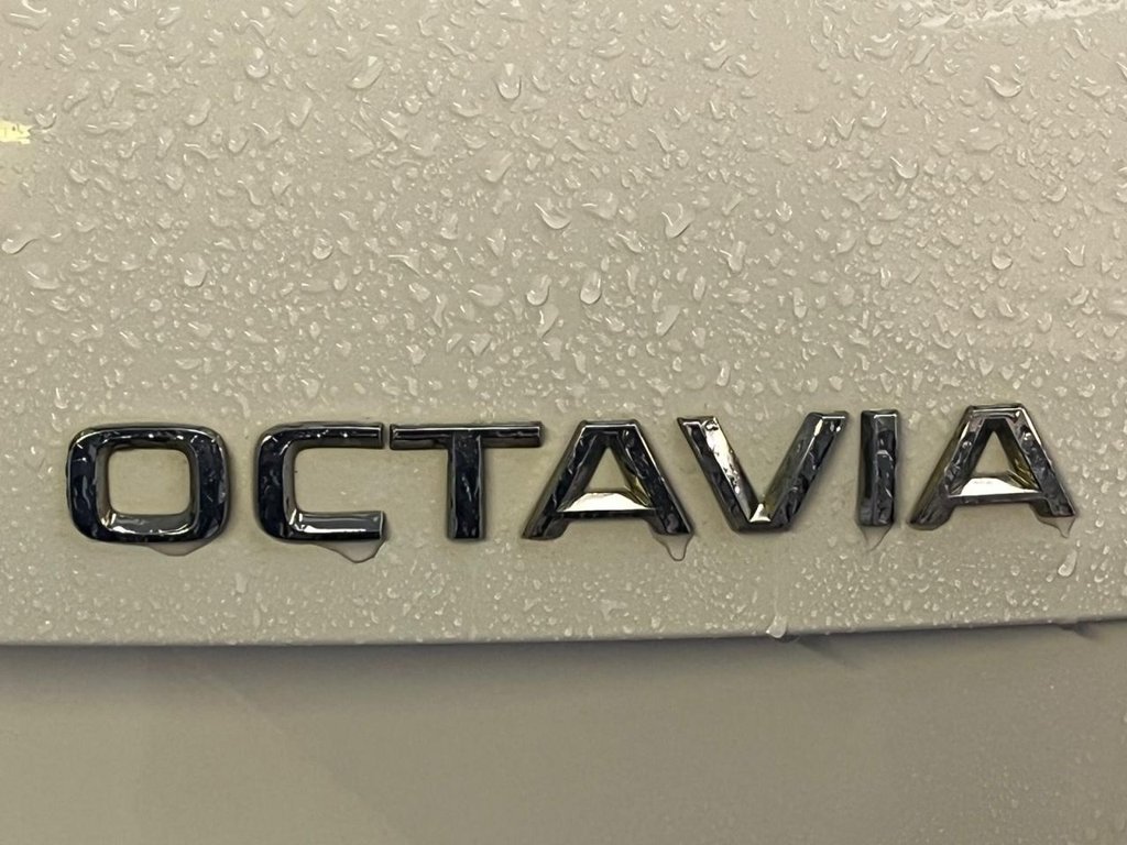 Used Skoda Octavia 2014 for sale - 77506969: Photo 15