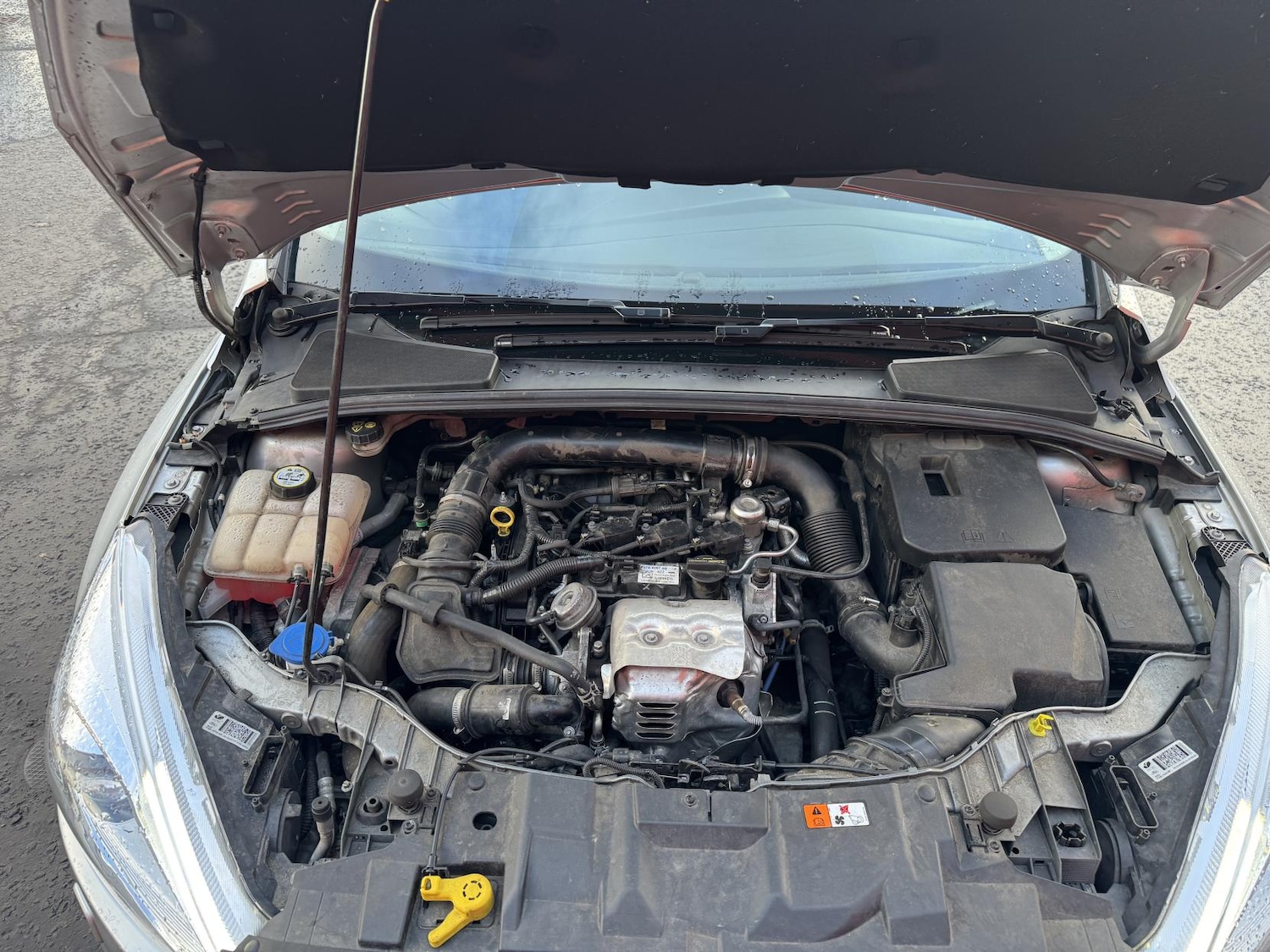 Used Ford Focus 2016 for sale - 78071679: Photo 50