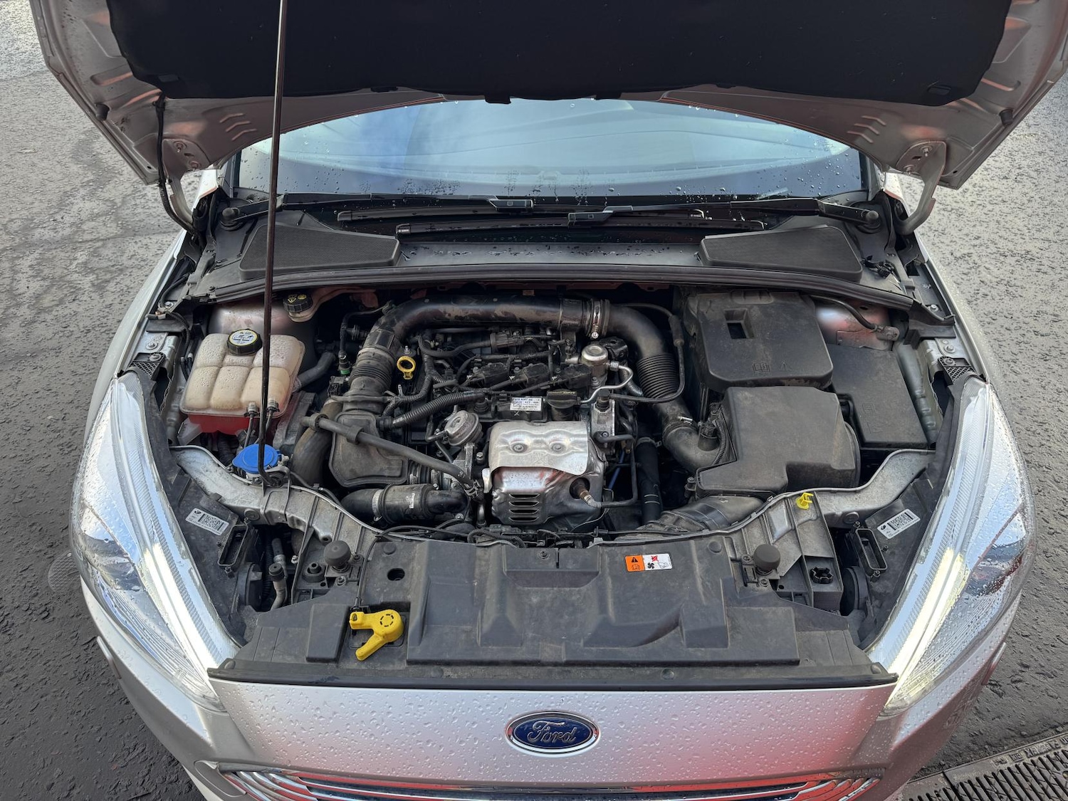 Used Ford Focus 2016 for sale - 78071679: Photo 51