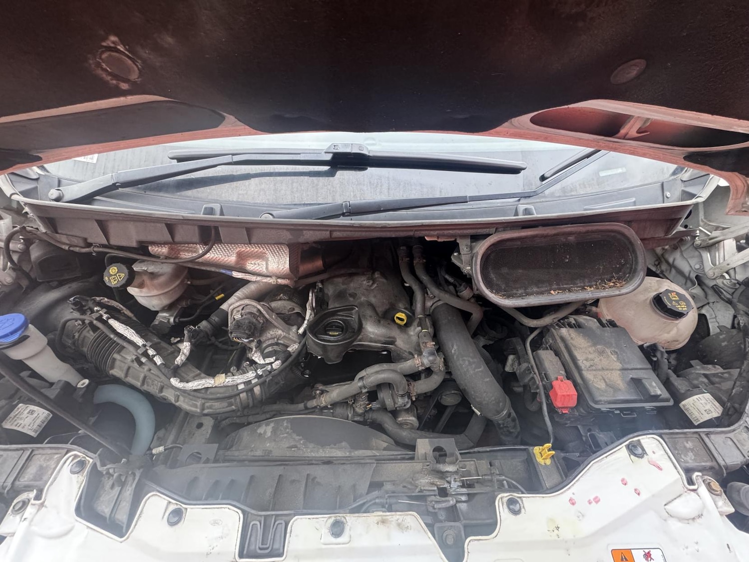 Used Ford Transit 2021 for sale - 77476658: Photo 51