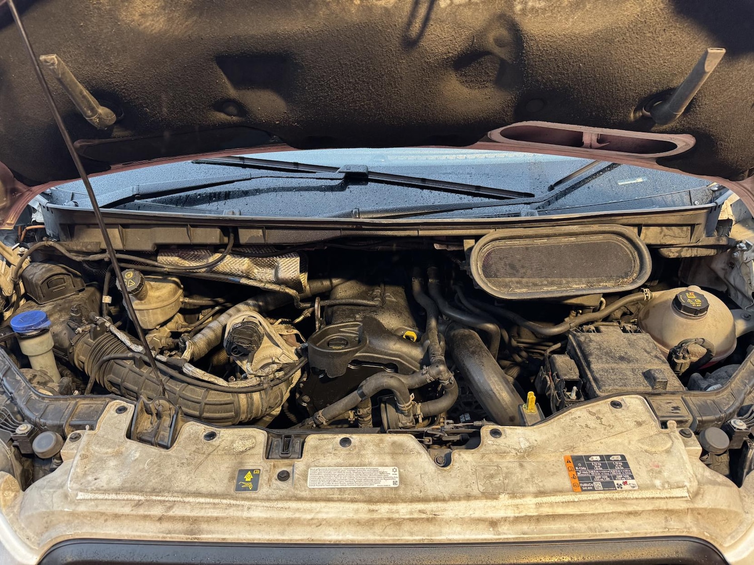 Used Ford Transit 2022 for sale - 77807585: Photo 51