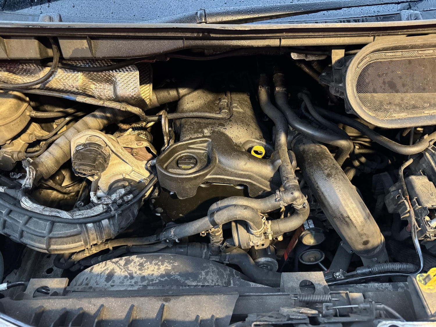 Used Ford Transit 2022 for sale - 77807585: Photo 52