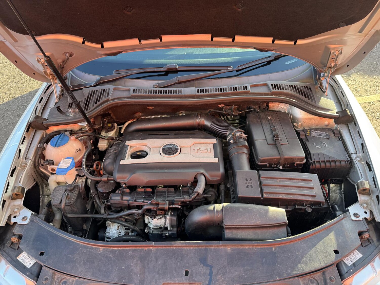 Used Skoda Superb 2009 for sale - 77736237: Photo 50