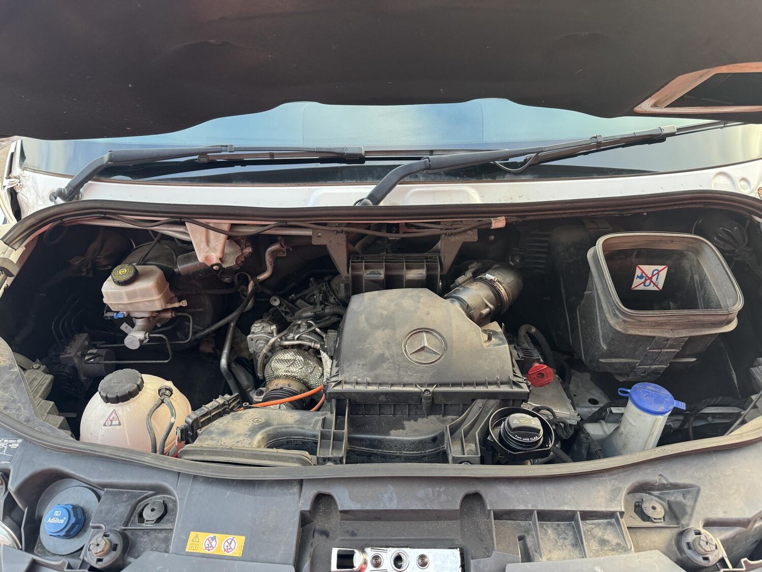 Used Mercedes-Benz Sprinter 2022 for sale - 78090901: Photo 52